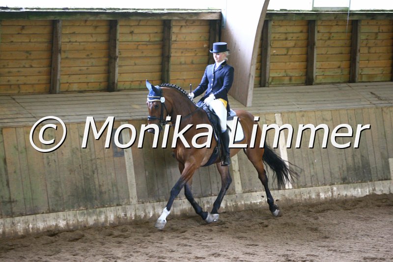 006M5388_Dressurpferde L.JPG